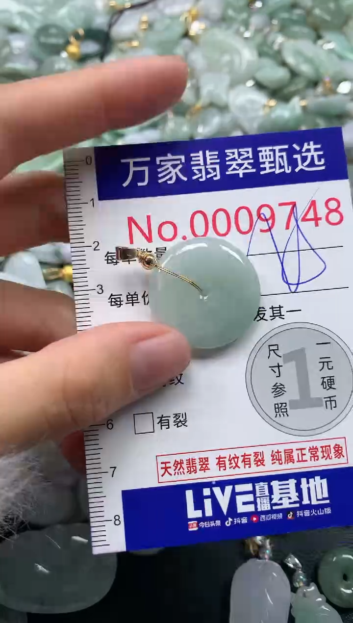 吊坠(不含链)未镶嵌翡翠9748