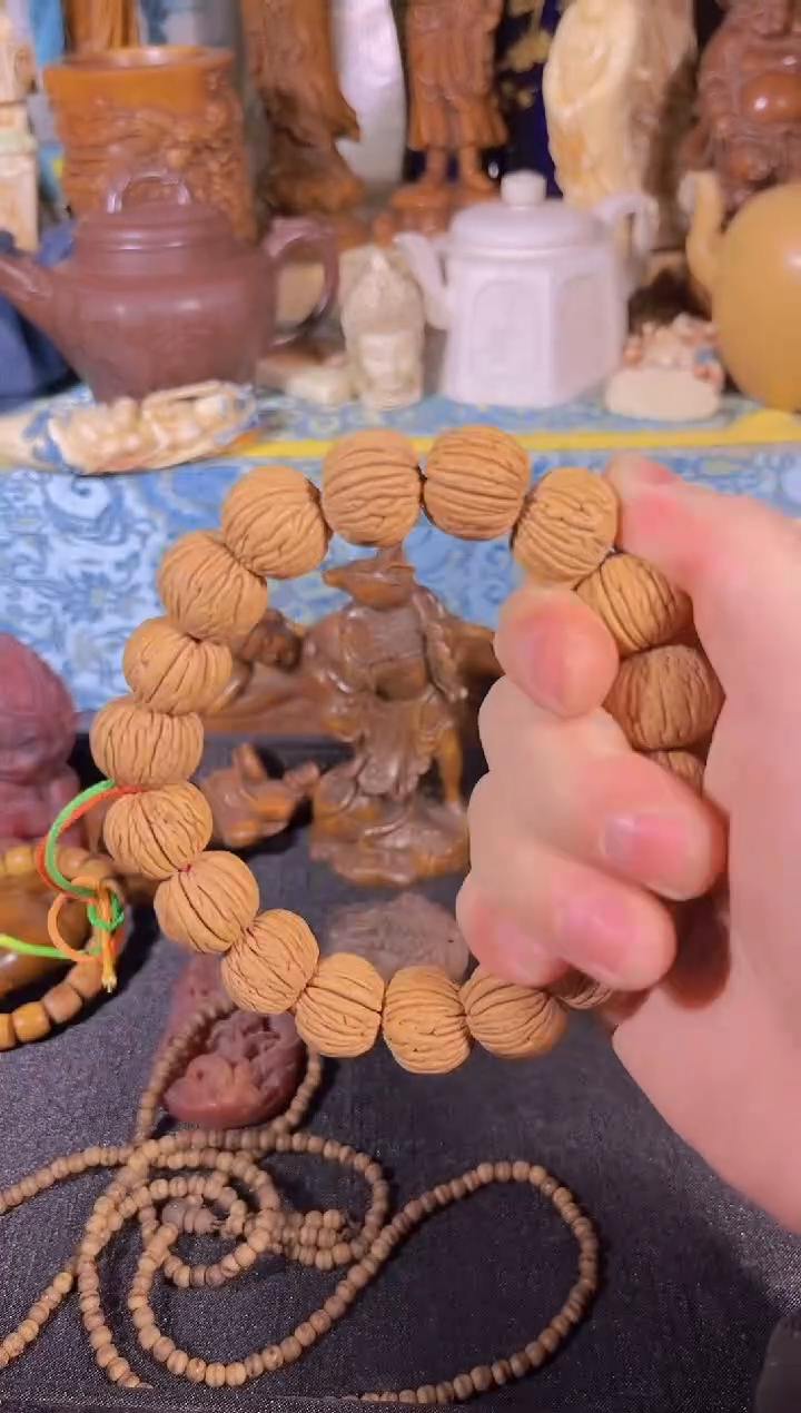 黄杨木1111111111111111