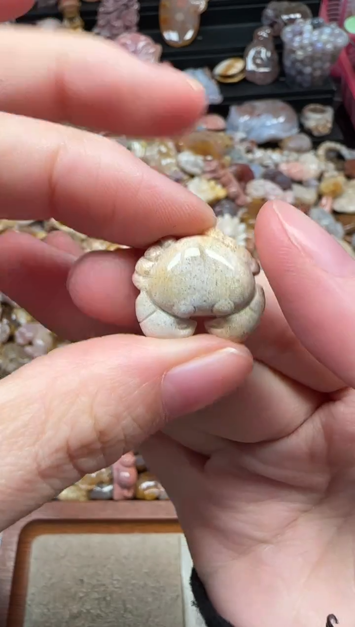 颈饰未镶嵌硅化珊瑚（珊瑚玉）313