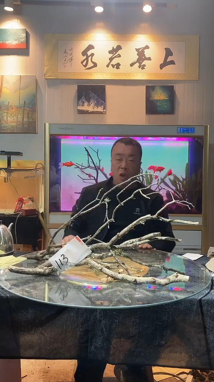 113号天然黄栎木1组