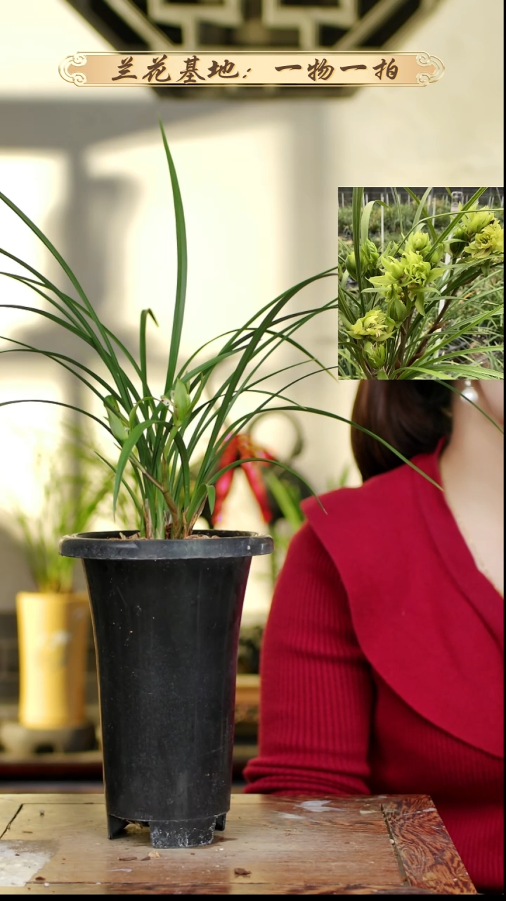 完全开放大唐盛世