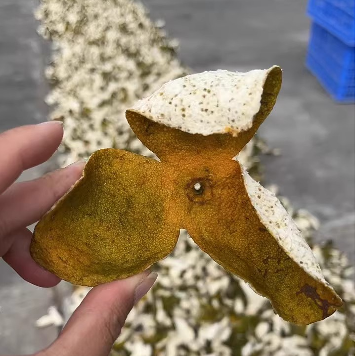 【花香蜜香二红微红】2025新会天马圈枝陈皮二红皮