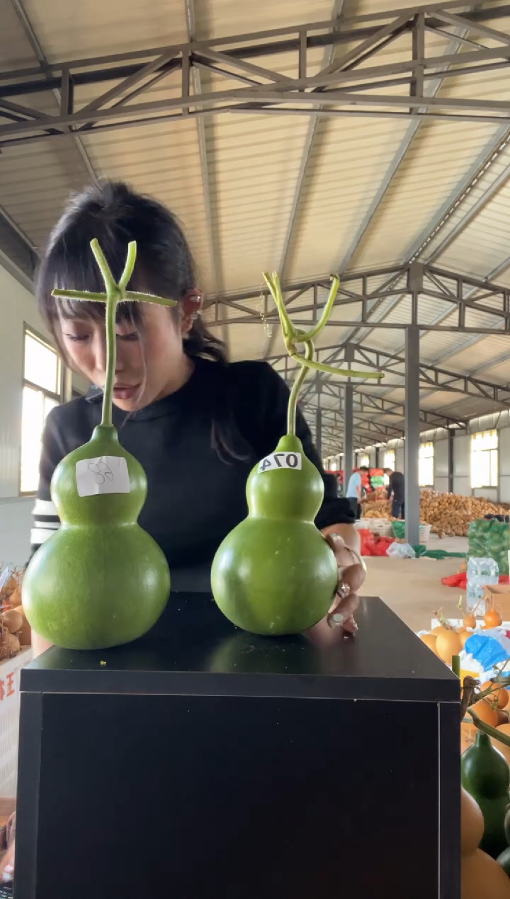 074天然葫芦摆件 一物一拍龙头不保售后