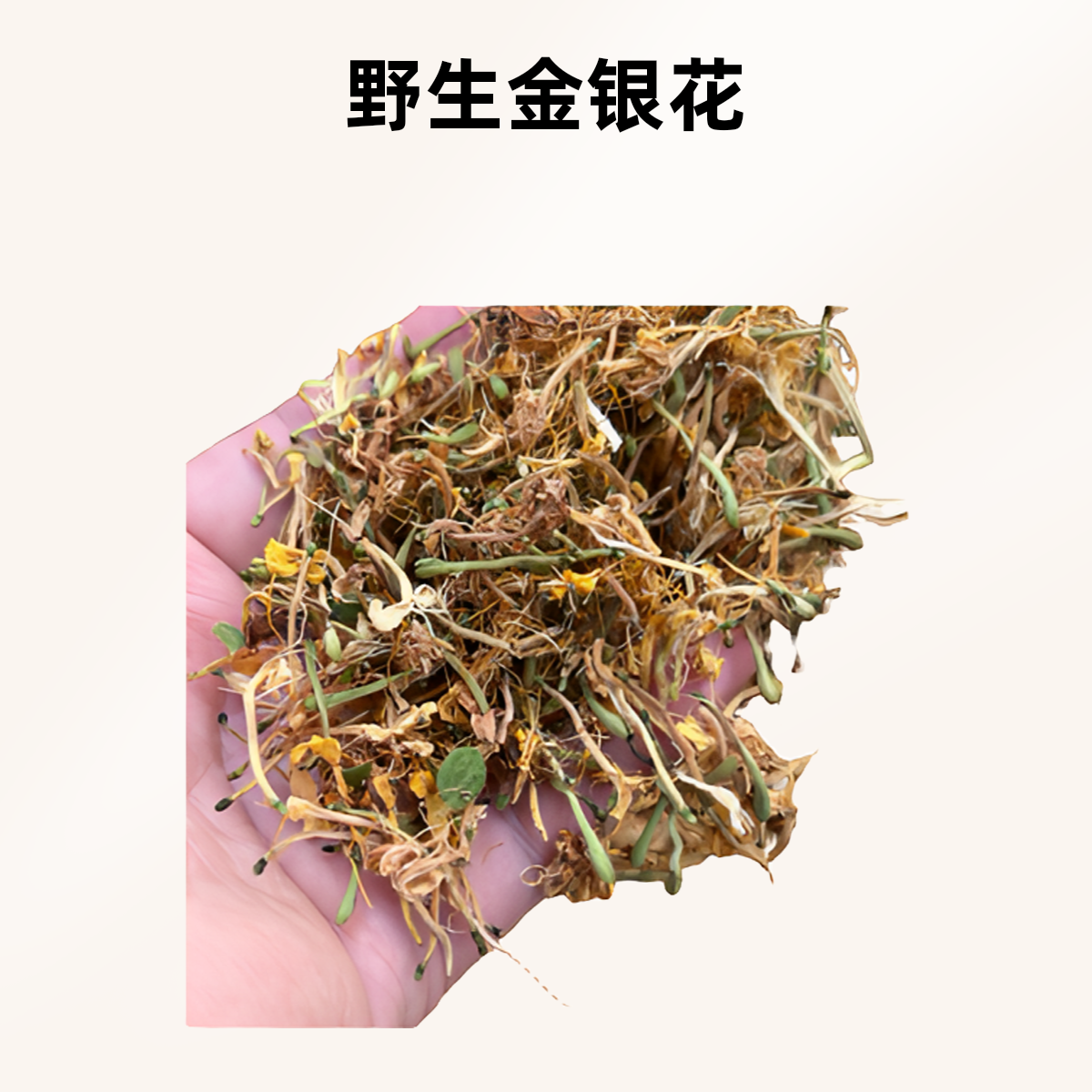 金银花自然晾晒无熏无染大自然的馈赠