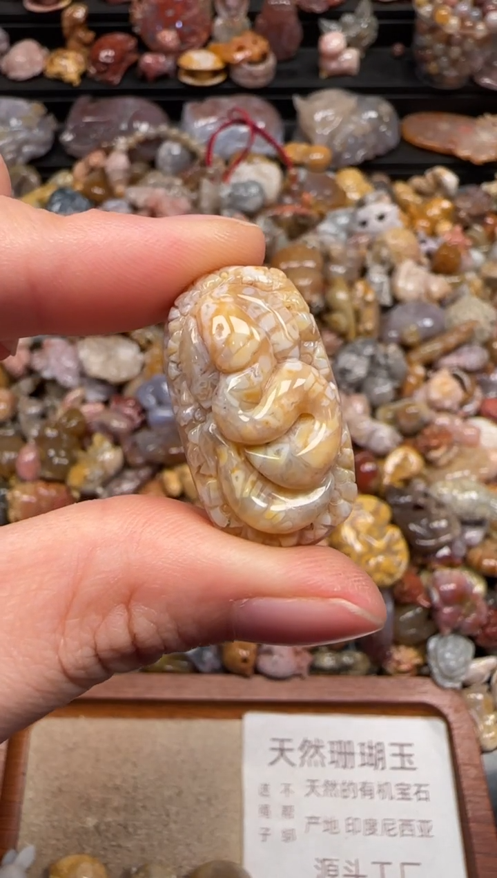 硅化珊瑚（珊瑚玉）未镶嵌颈饰767