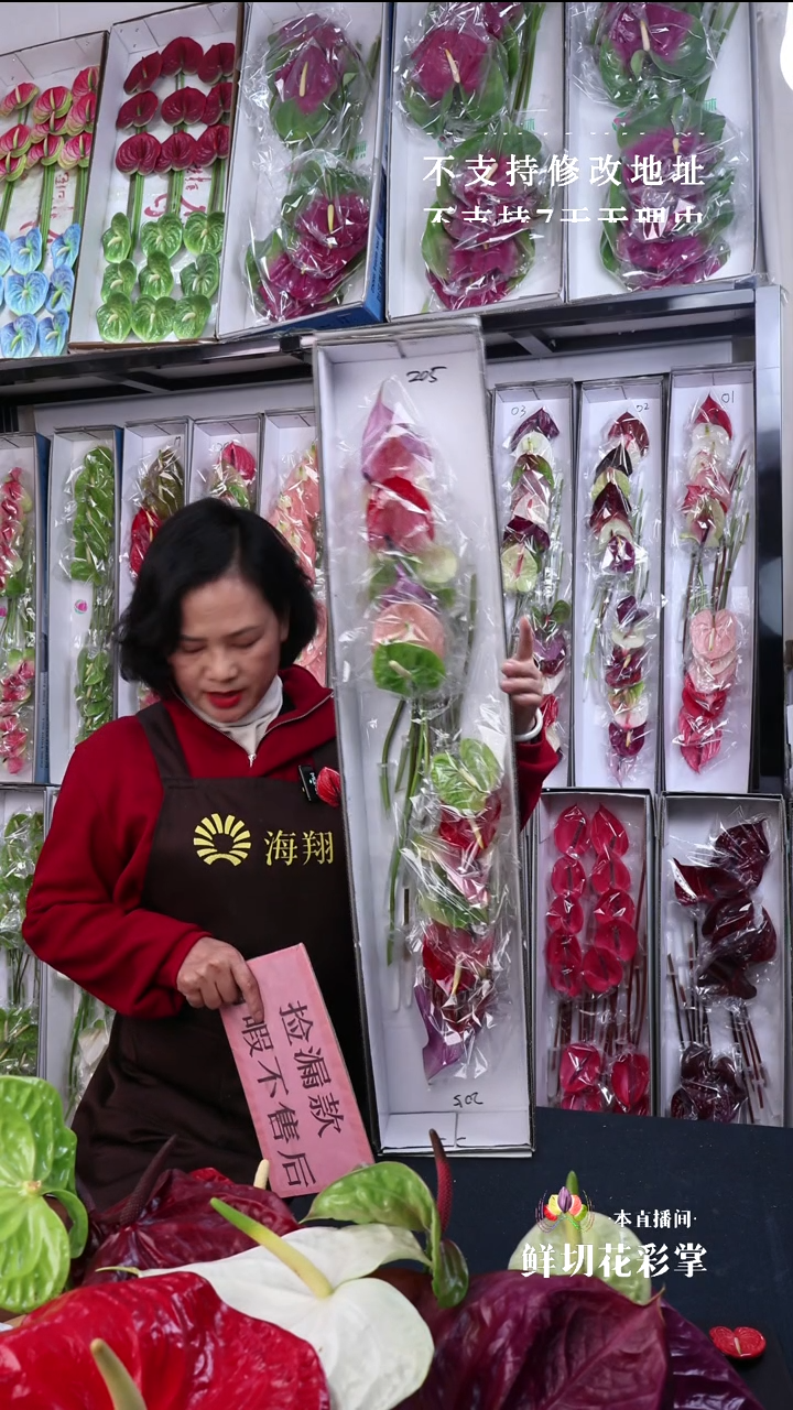 完全开放205混色16枝(长25-30横冠幅7-10有瑕福利不退不换不售后