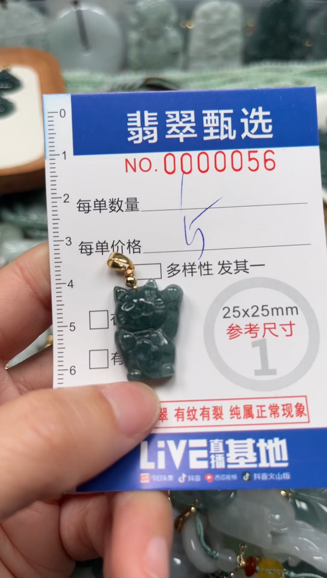 【闪购商品】翡翠颈饰未镶嵌00..0056