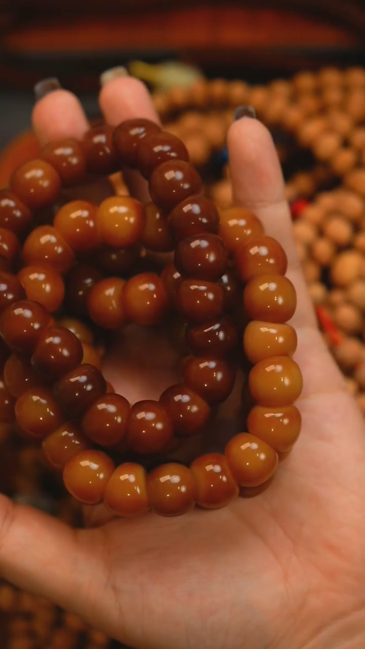 白玉菩提手串菩提根大肠