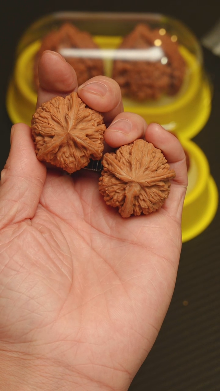 吊坠文玩核桃38 全品御龙粗筋