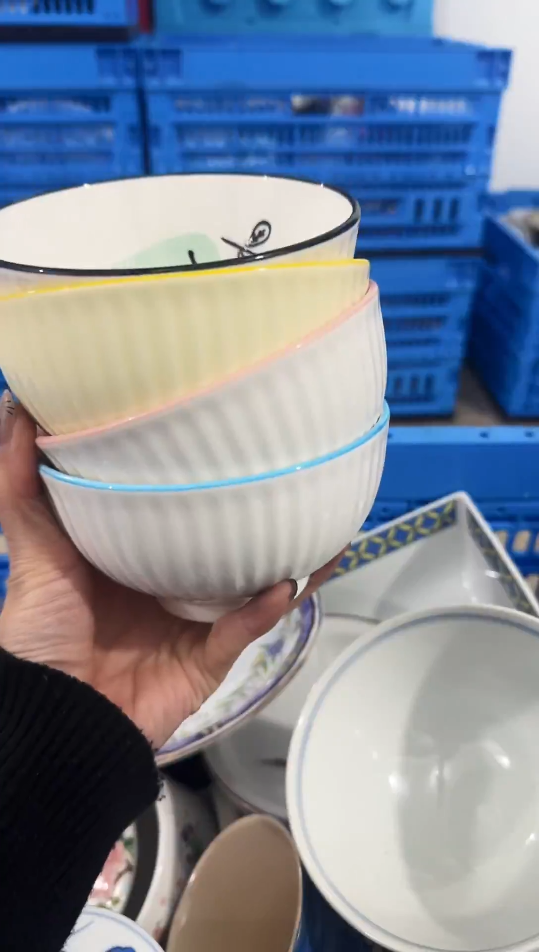 瓷片              4只