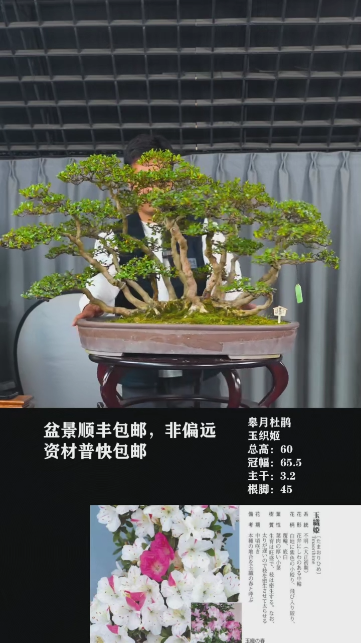 【闪购商品】玉织姬