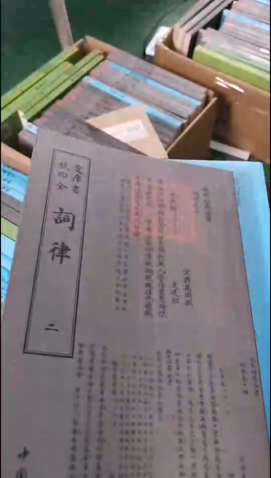 瑕疵四库词律    第二册