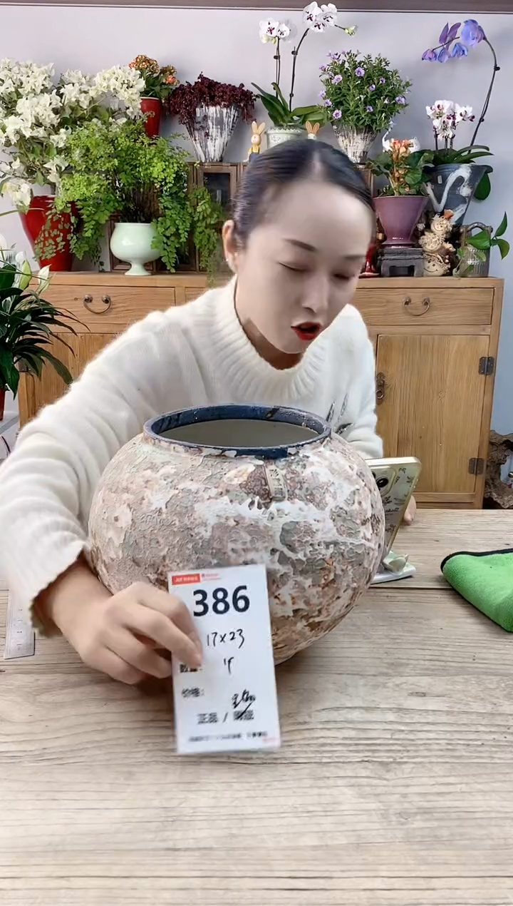 小玩子花盆直播编号386
