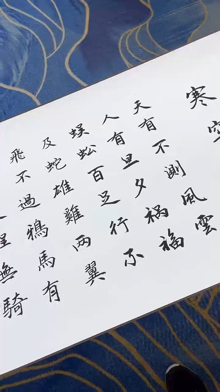 【闪购商品】书法谢明富  寒窑赋 10米