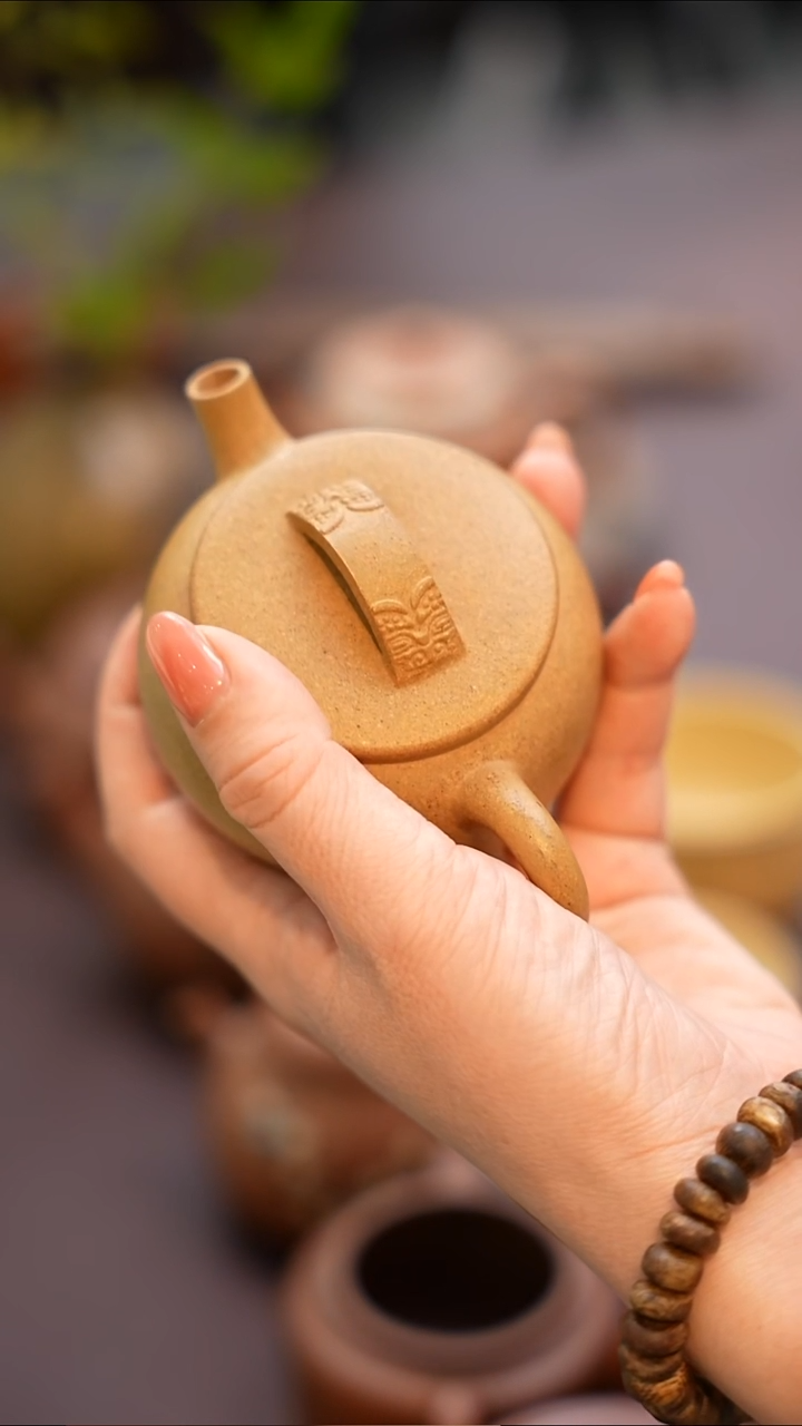茶壶紫砂直播间专属原矿手工