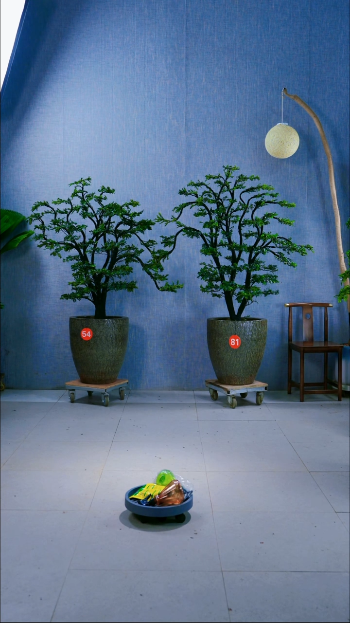 无花朵理****会小叶紫檀54号