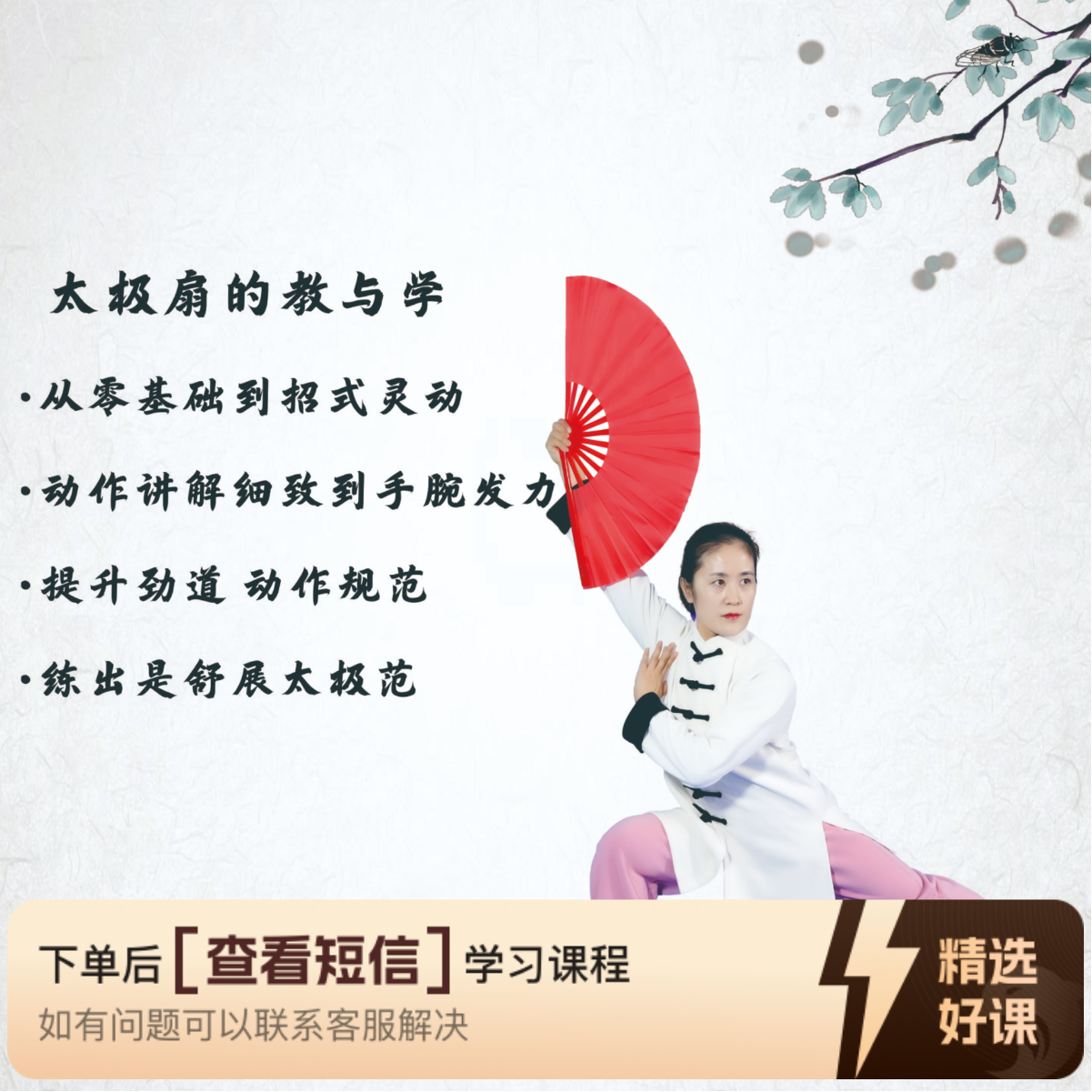 太极军红太极扇教与学（留意短信解锁课程）
