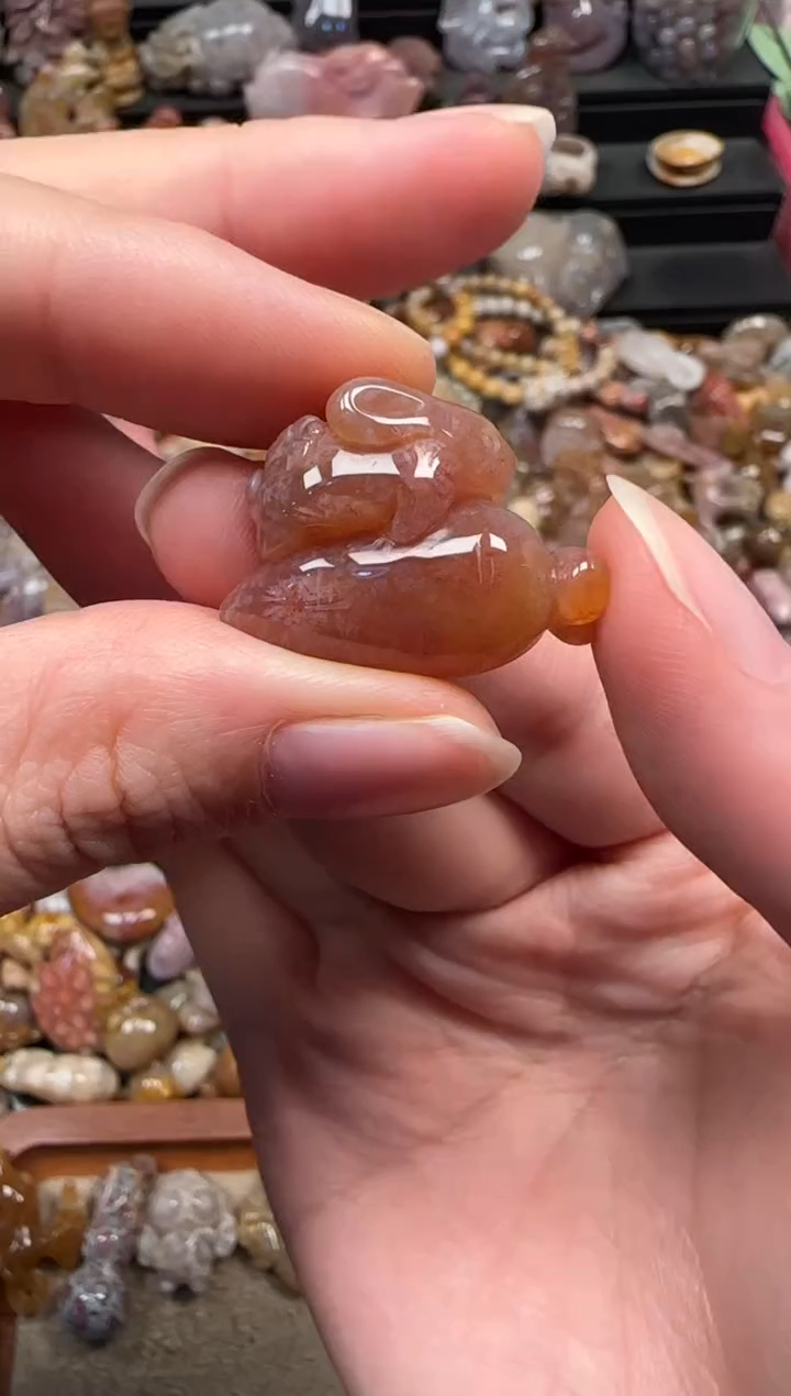 颈饰未镶嵌硅化珊瑚（珊瑚玉）637