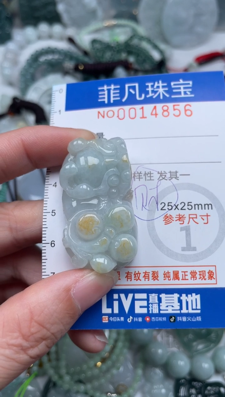 颈饰未镶嵌翡翠14856