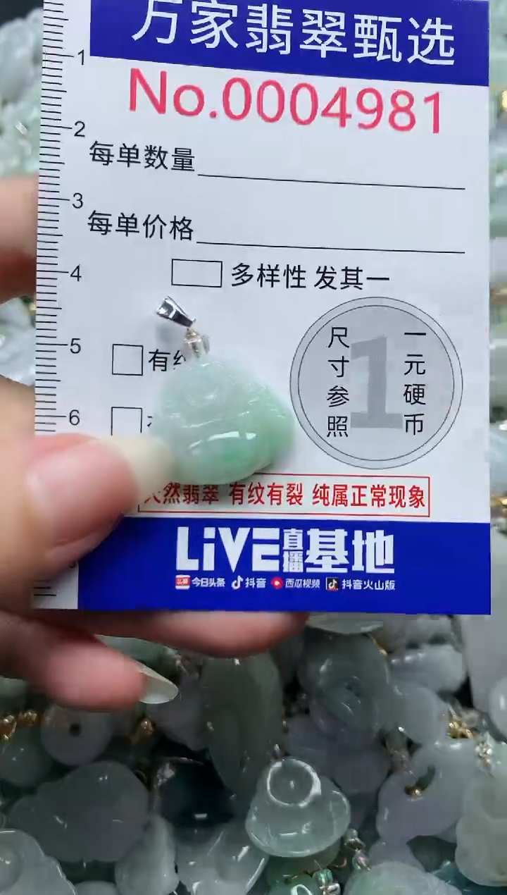 吊坠(不含链)未镶嵌翡翠4981