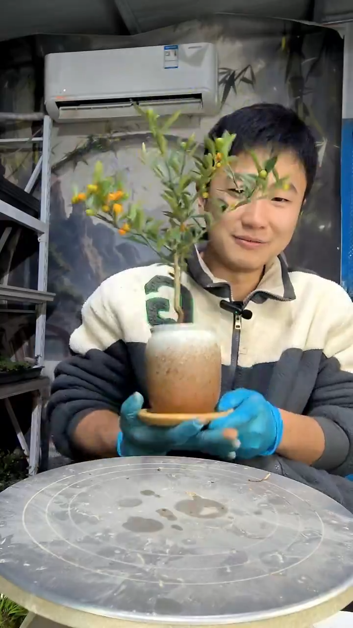 用****0中青园艺一物一拍花417