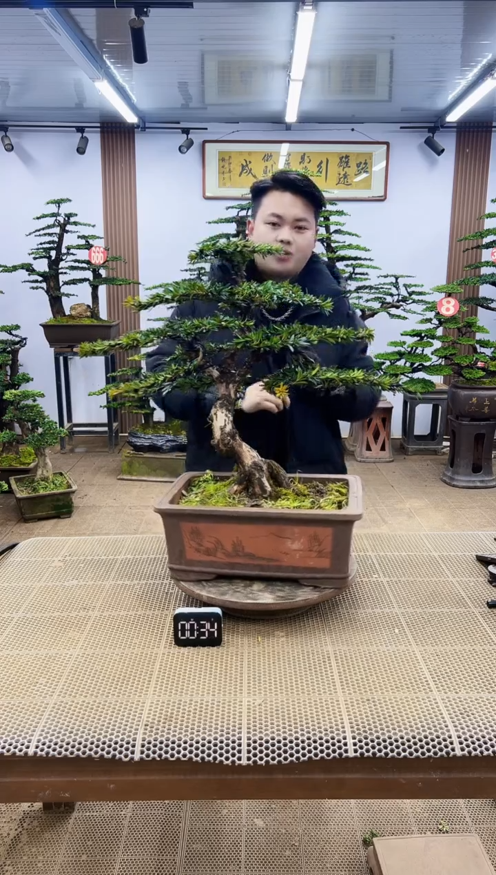 【闪购商品】00000000