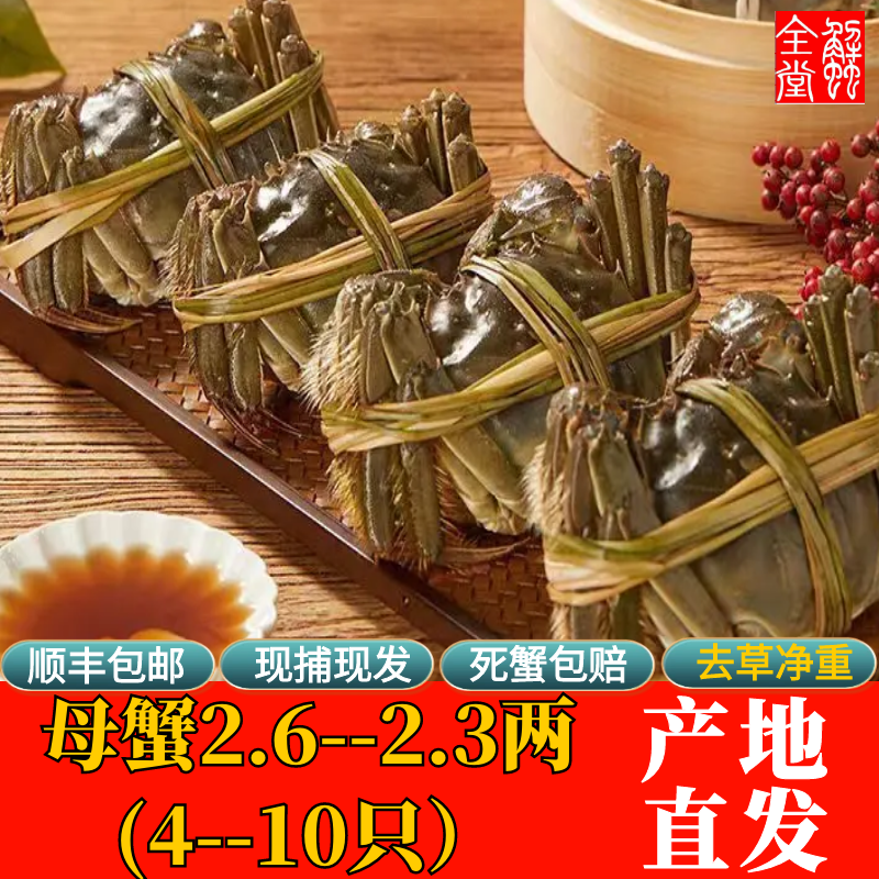 【活蟹】芜湖螃蟹大闸蟹母蟹2.6-2.3两4-10只 净重顺丰包邮礼盒装