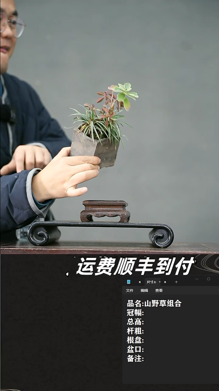 【闪购商品】15  山野草组合