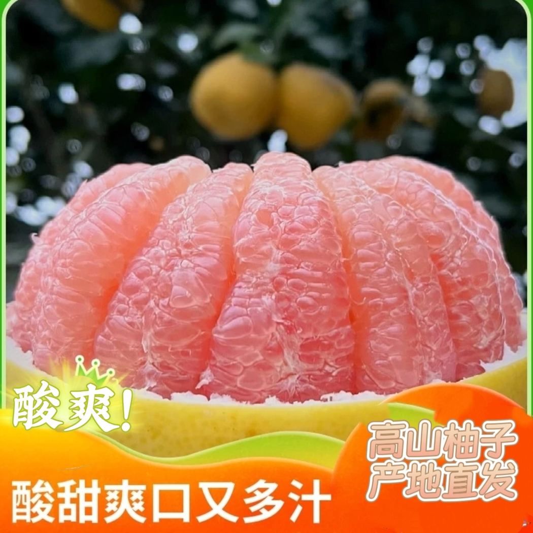 【高山蜜柚 】产地直发新鲜采摘新鲜发货