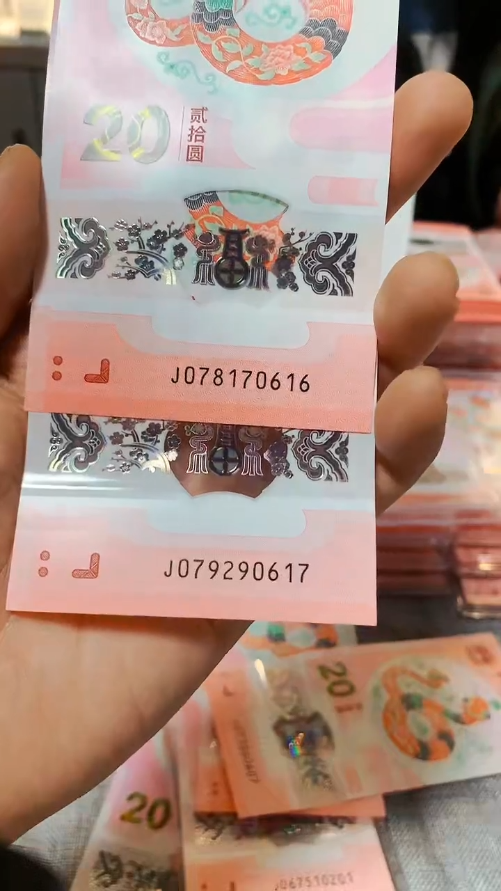 【闪购商品】塑料2025蛇年纪念品生日钞