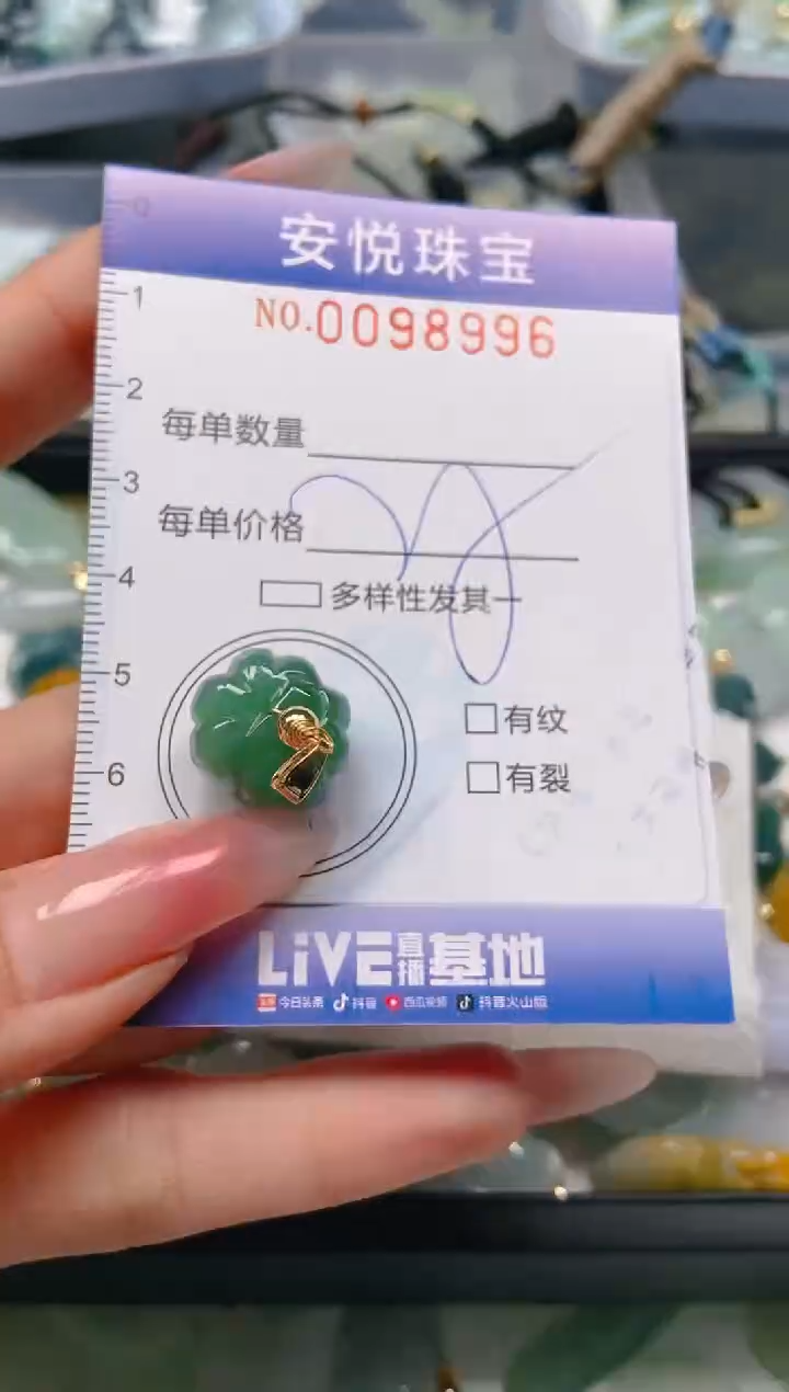 【闪购商品】翡翠颈饰未镶嵌闪购0098996