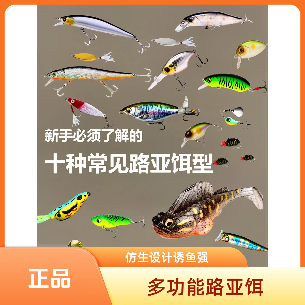 （一号）直播专用一物一拍