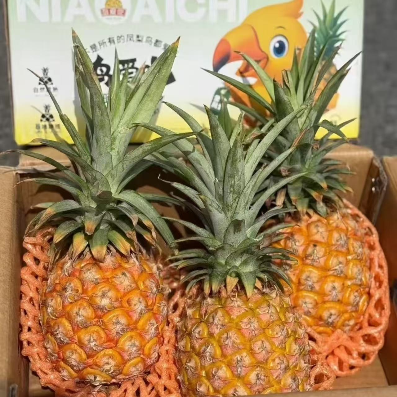 鸟爱吃 金钻凤梨 礼盒3头净重4.5斤左右 顺丰包邮