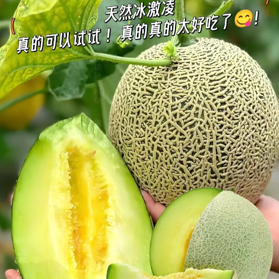 海南网纹瓜，软糯香甜