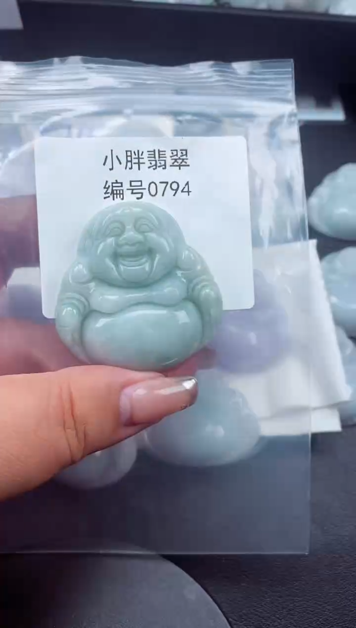 翡翠未镶嵌颈饰缅甸天然A货翡翠0794