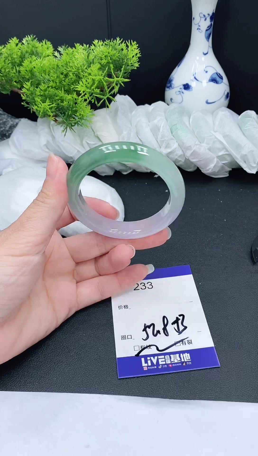 未镶嵌手镯翡翠233