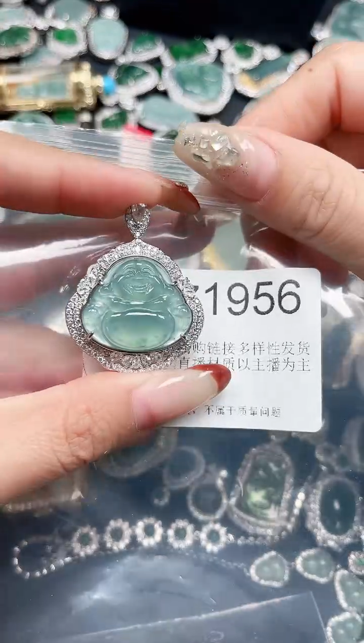 【闪购商品】翡翠颈饰未镶嵌 赠皮绳1956