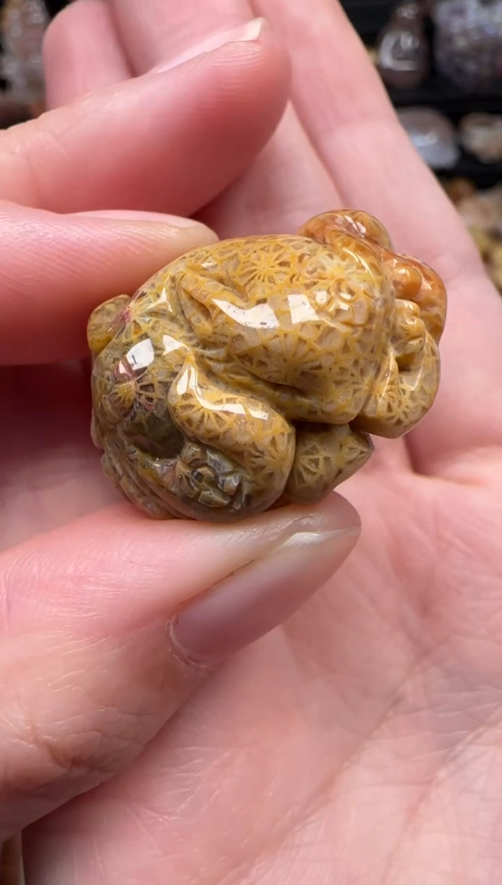 颈饰未镶嵌硅化珊瑚（珊瑚玉）718