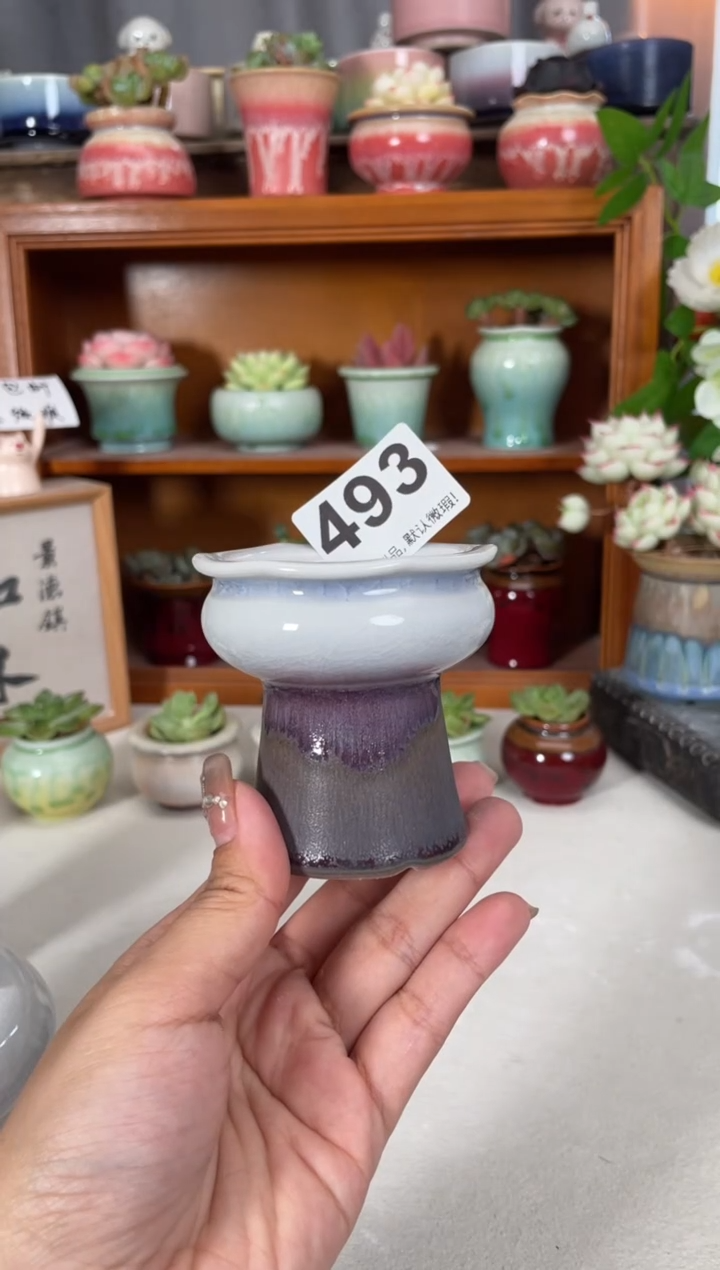 瓷片493知木小芳花盆