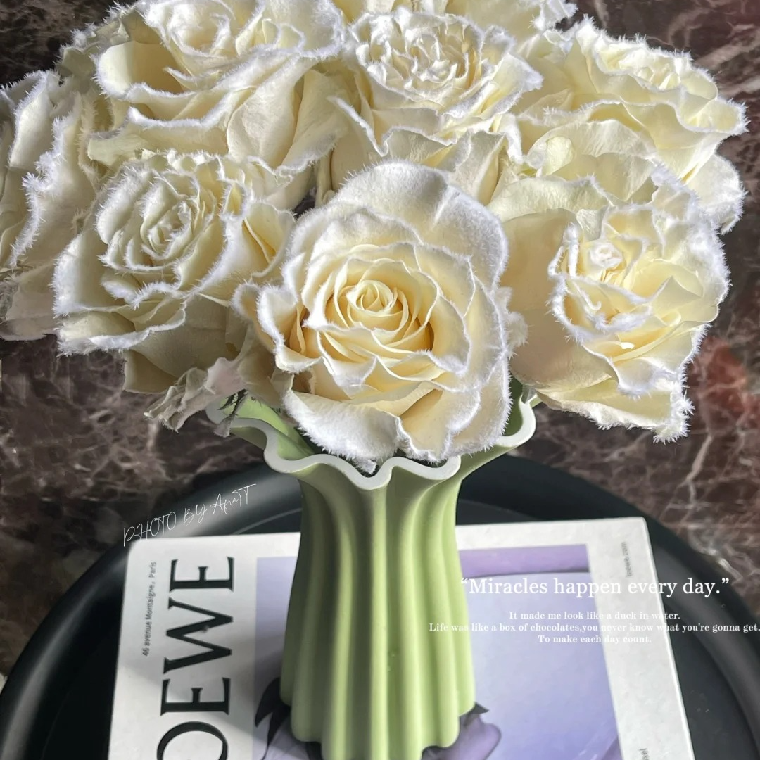 初雪单头玫瑰收到花第一时间醒花哟厄瓜多尔初雪