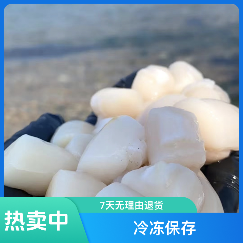 【渔岛二姐】手扒鲜扇贝贝丁/瑶柱丁（南方冷链）
