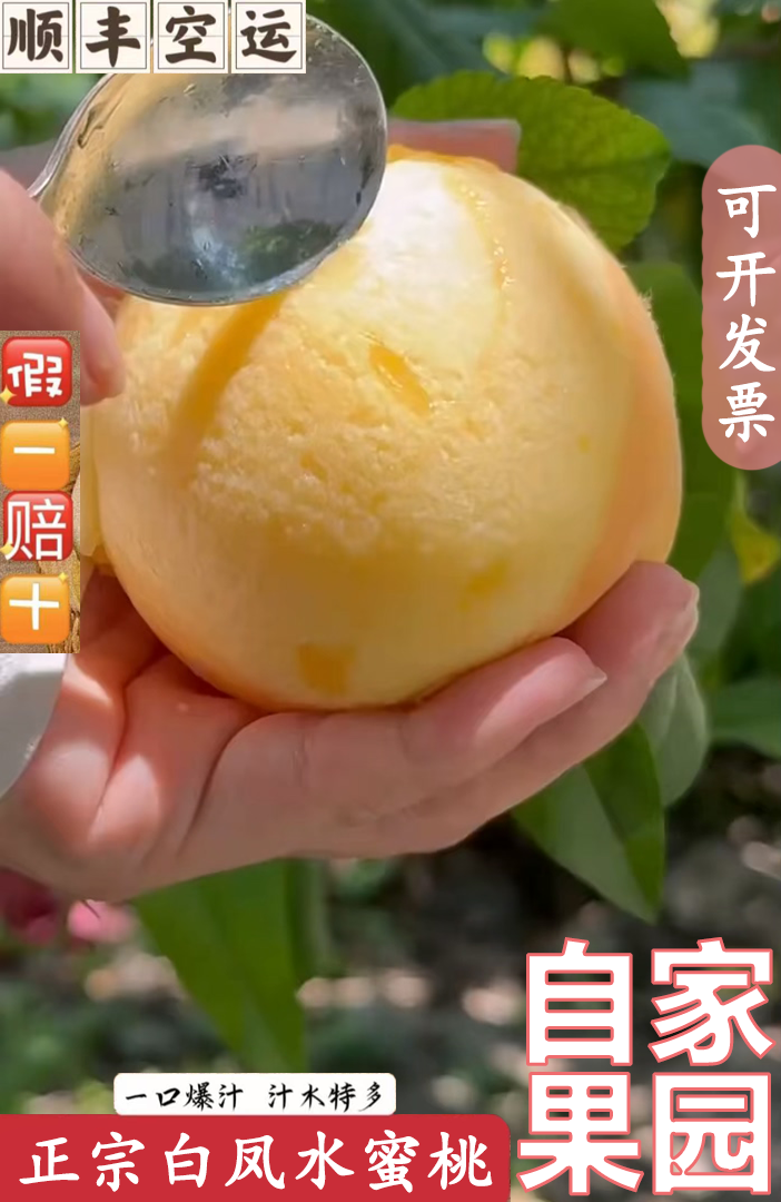 【果王】6-5两正宗无锡阳山同品种白凤水蜜桃自家果园新鲜礼盒装
