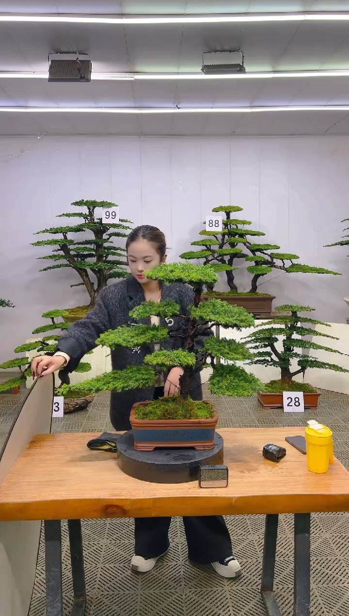 无花朵一物一拍一物一拍