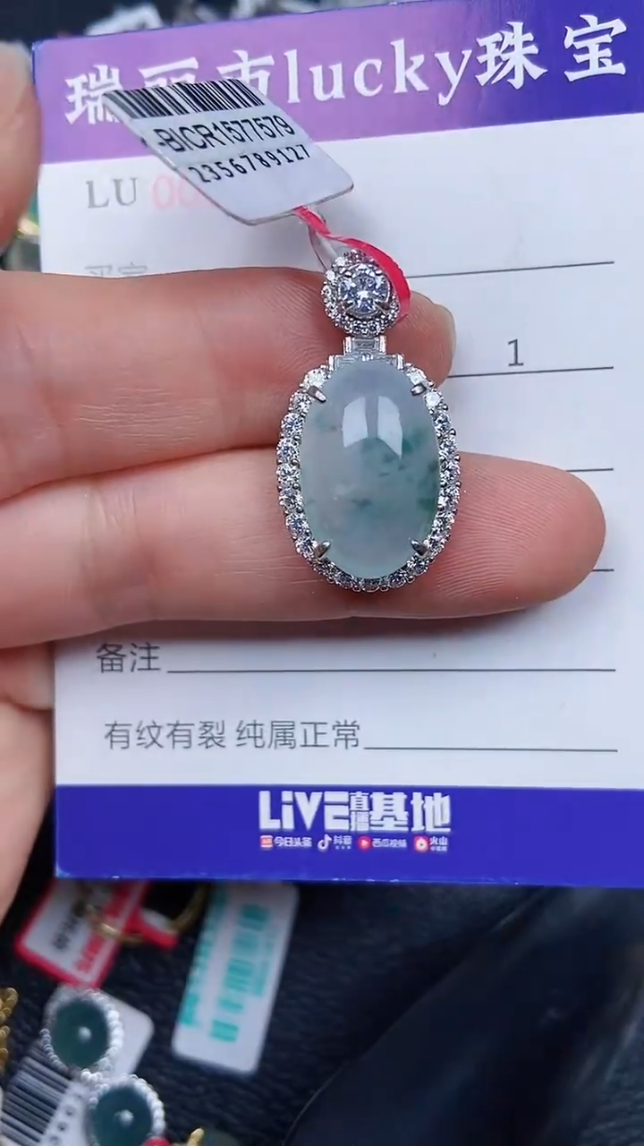 颈饰银S925镶嵌翡翠1748
