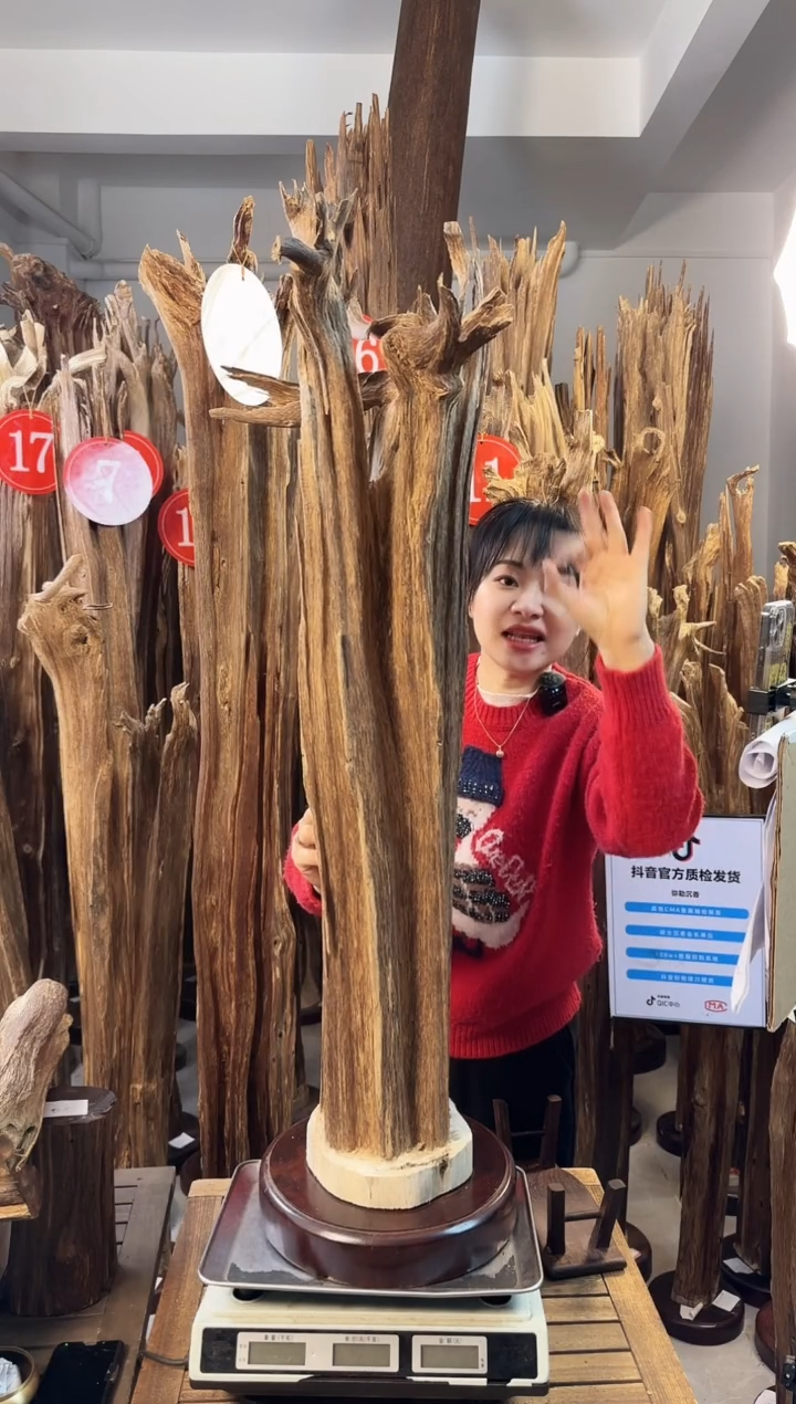 【闪购商品】沉香摆件沉香摆件多样性发一件42