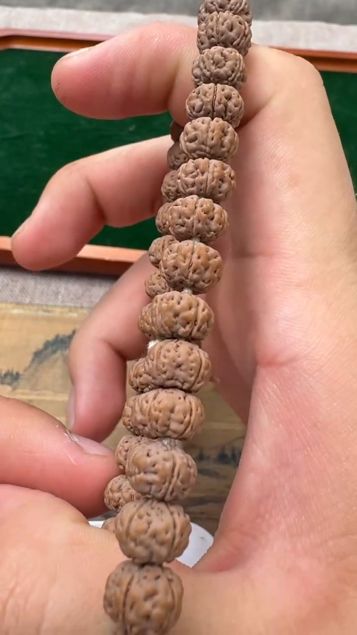 金刚菩提手串老树王单圈9.5