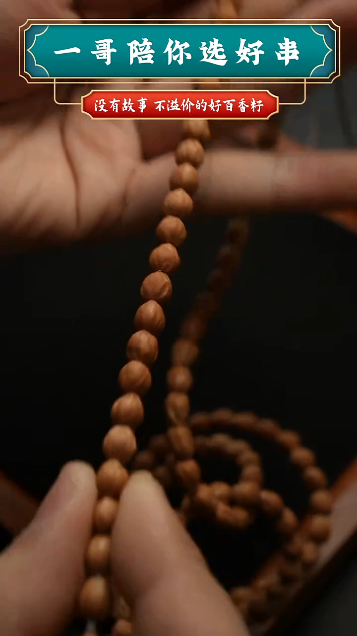 吊坠柏香籽/百香籽6514