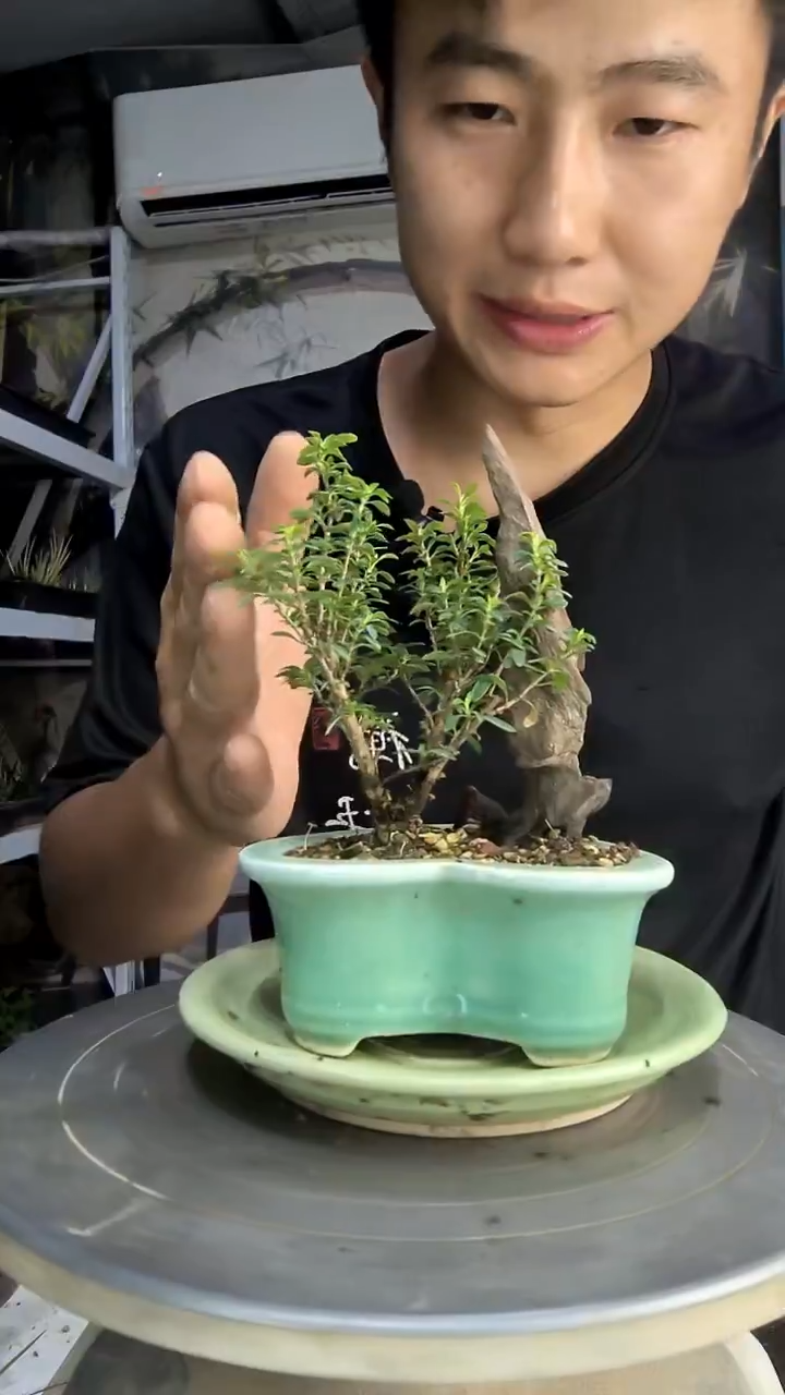 s****d中青园艺一物一拍63