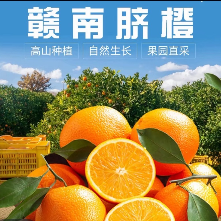 正宗江西赣南脐橙新鲜现摘多汁香甜应季水果产地直发