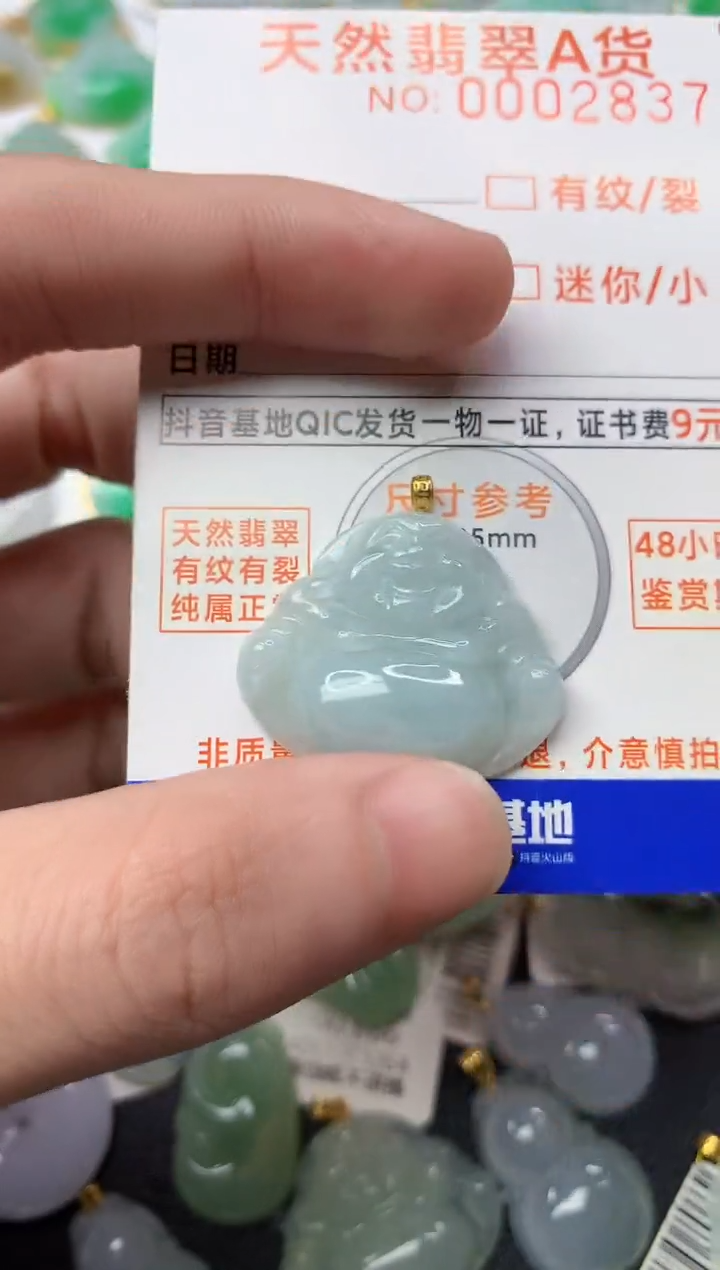【闪购商品】翡翠颈饰18K金镶嵌5...........